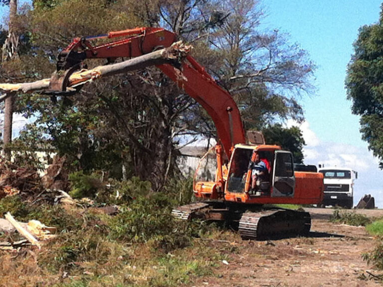 Tree Removal Melbourne