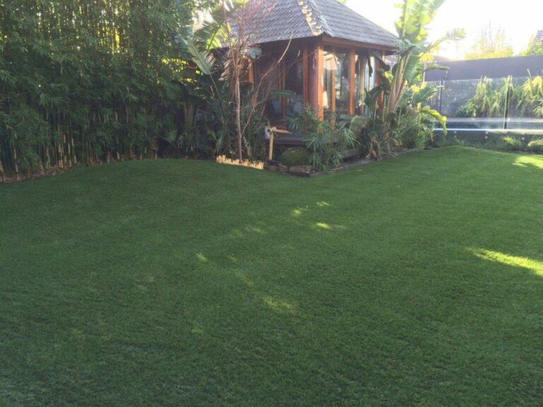 New turf Melbourne New turf Melbourne