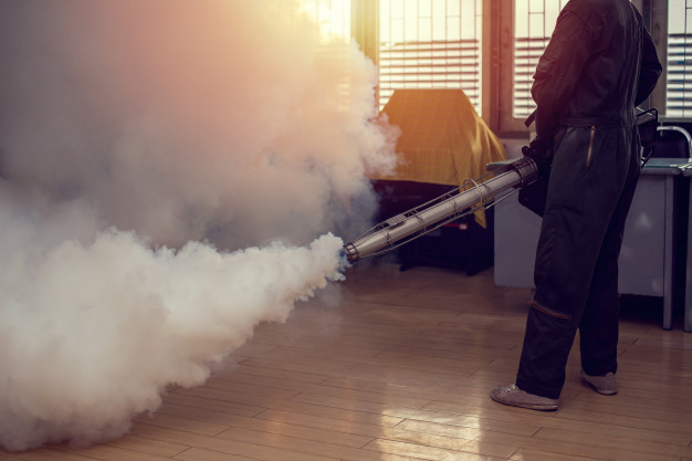 man work fogging eliminate mosquito preventing spread dengue fever zika virus 35018 325