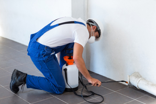 manual worker spraying insecticide pipe 107420 27277