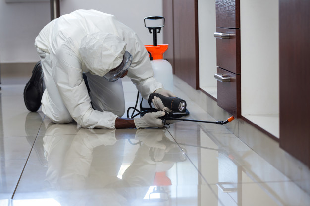 pest control man spraying pesticide cabinet 107420 29683