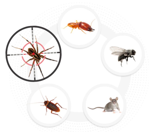 Pest Control 1