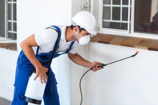 Pest Control 3