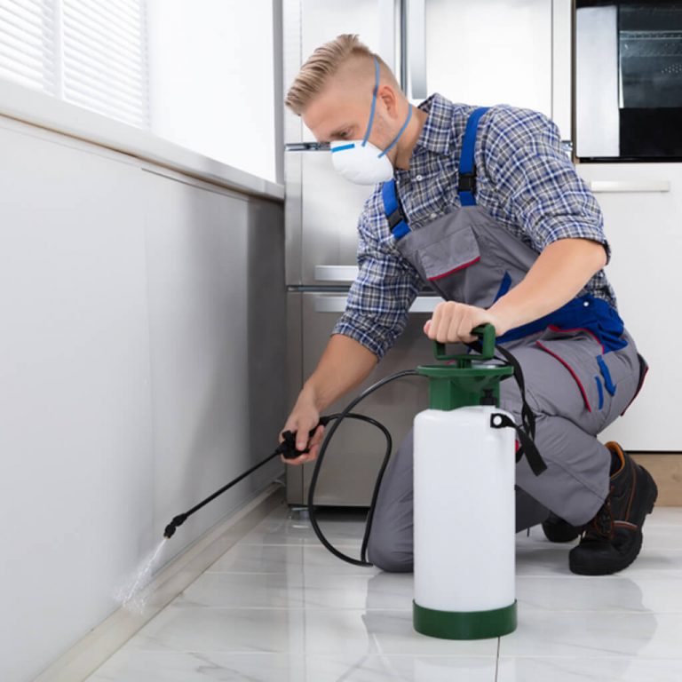 Pest Control in Melbourne 2 768x768