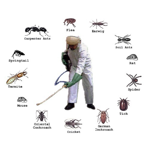 pest control services 500x500 1
