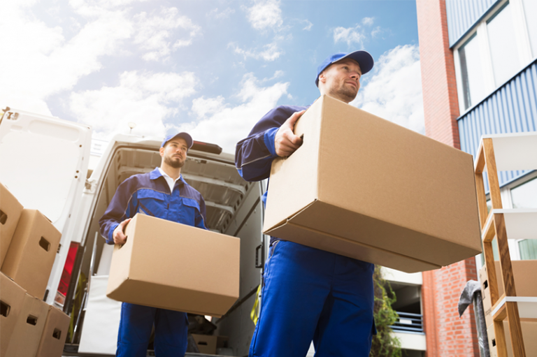 removalist 768x511