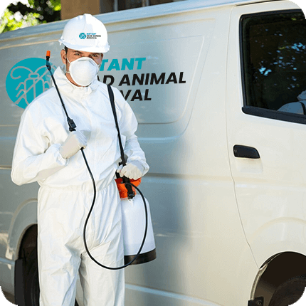 Dead Animal Removal service