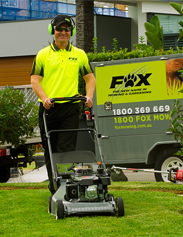 Lawn Mowing Sydney