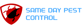 SAME DAY PEST CONTROL 9