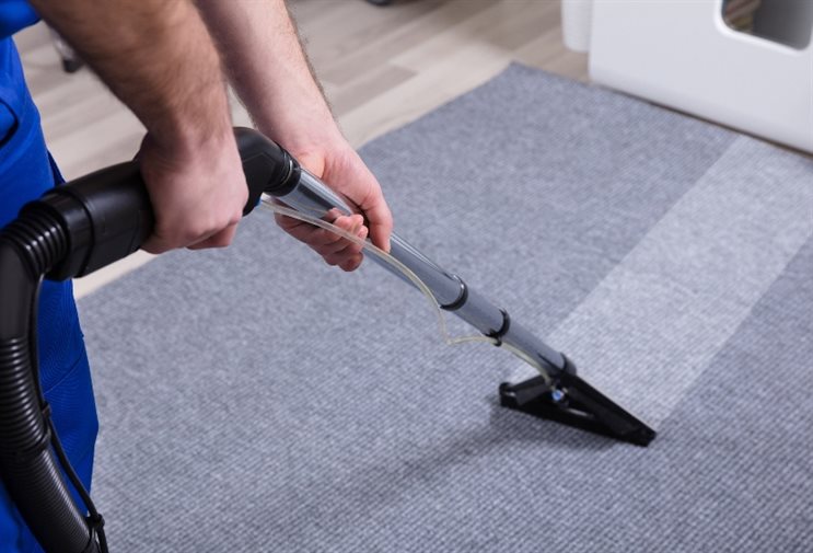 carpet cleaning ringwood