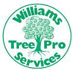 logo 8