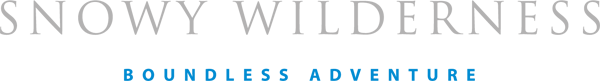 logo b