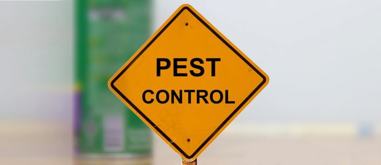 pest control cover 768x333