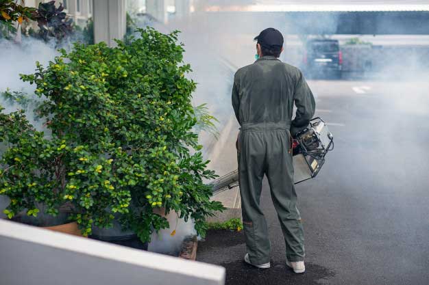 The one time treatment alone may not be sufficient to give you the lasting results against pest infestation for the long term.