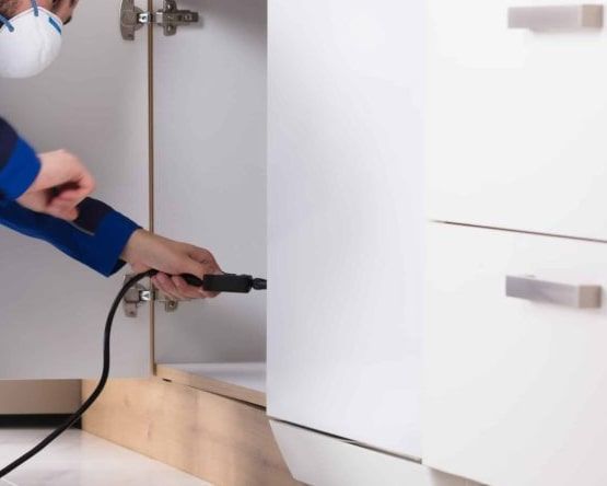 ea3ab746dfeac2c511dd67af06ff3e66.Pest Control Carlton 1