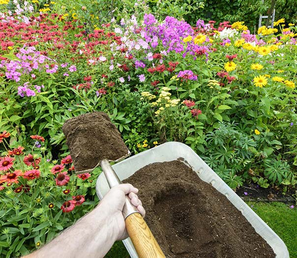 lawn mowing gardening caloundra 4
