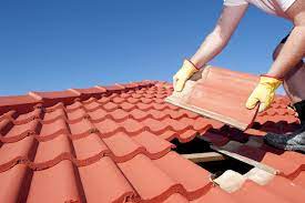 roof 3