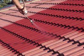 roof painting