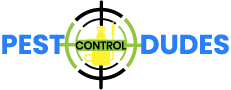 Logo 1 1