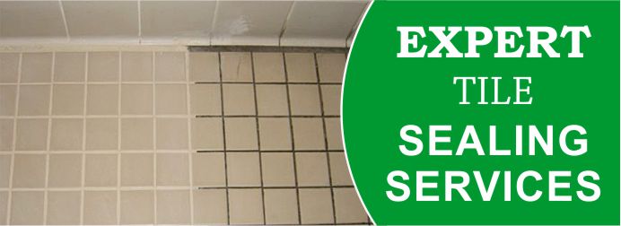 Tile Sealing Services Brisbane 2