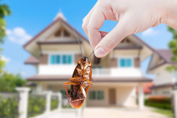 istockphoto 1224507024 612x612 1