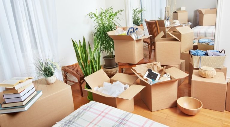 packing 1 768x425