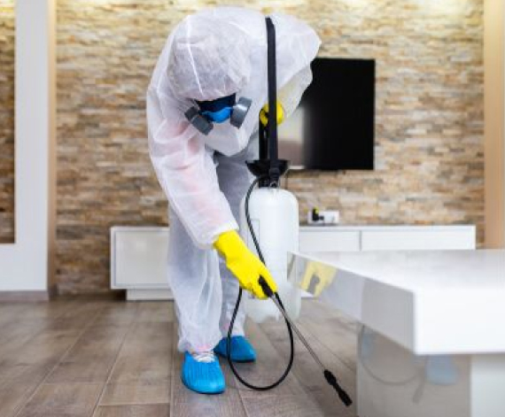 pest control mount waverley 1
