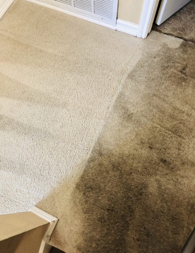Carpet Cleaning5 768x993