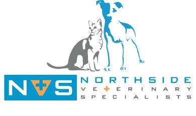 Northside vet specialists