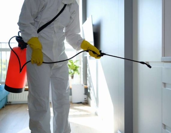 best pest control
