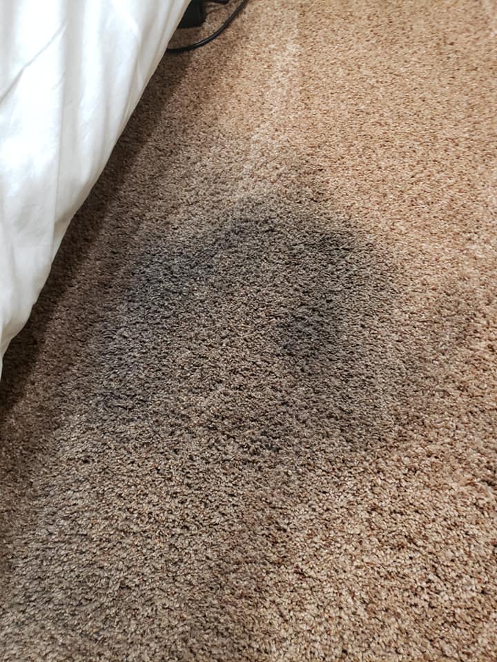 carpet 1