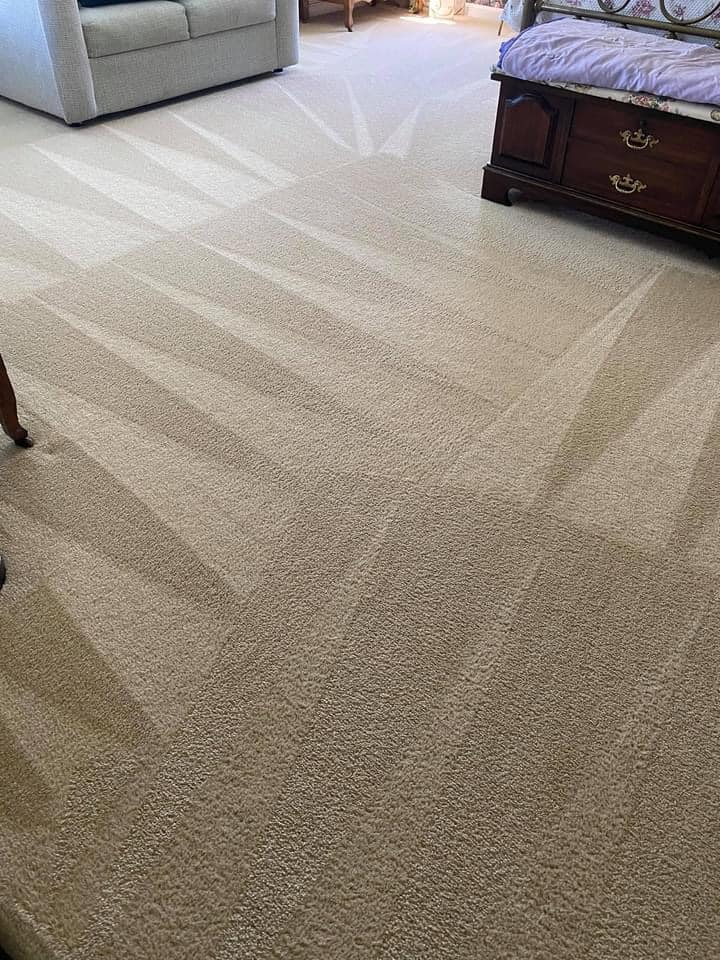 carpet 12