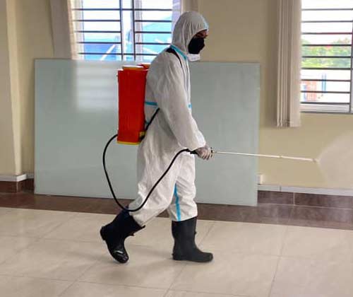 choose best pest management