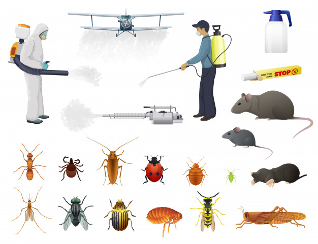disinfection pest control insects extermination 8071 925 Copy