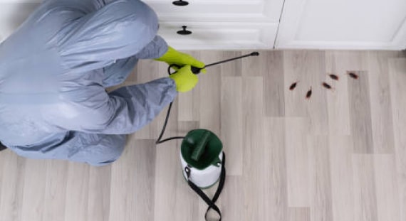effective pest control services