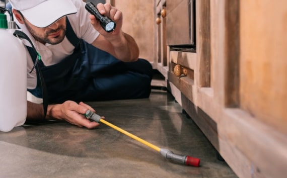end of lease pest control