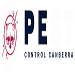 logo1 1