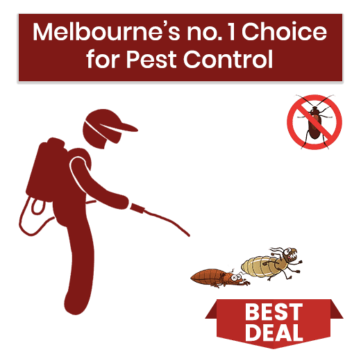 melbourne no 1 choice pest control