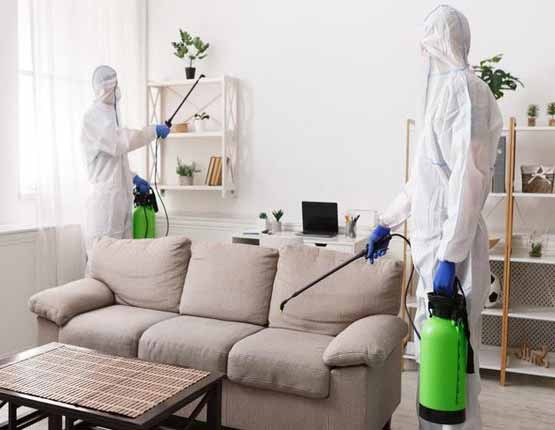 pest control
