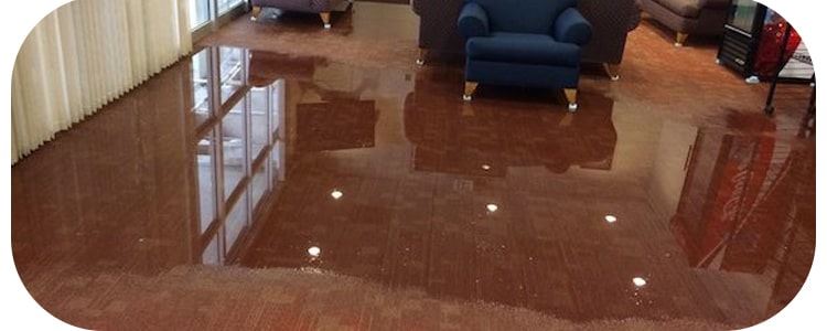 vclean flood min