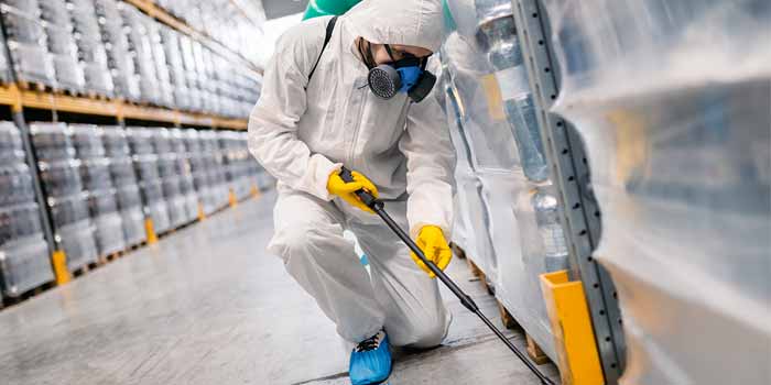 Bed bugs Control