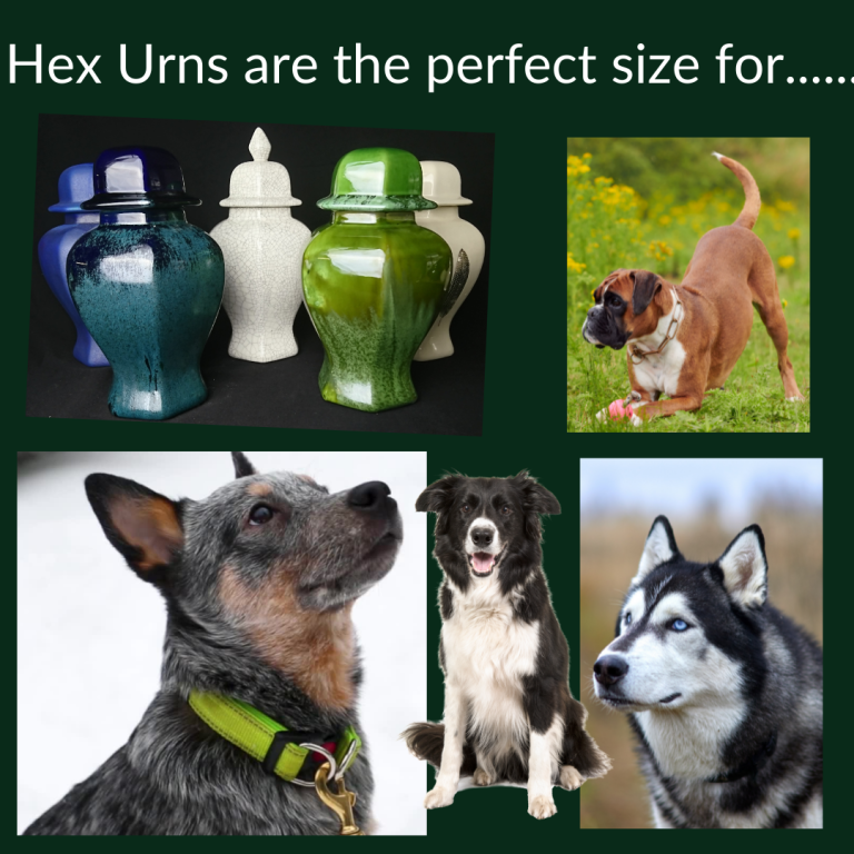 Hex Urns  768x768
