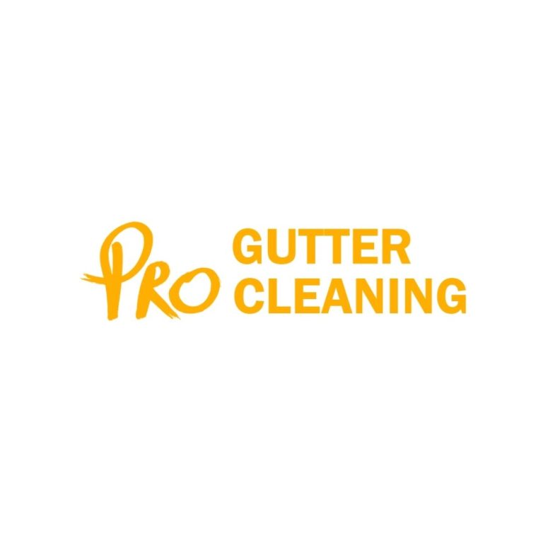 Pro gutter cleaning Instagram Logo 768x768