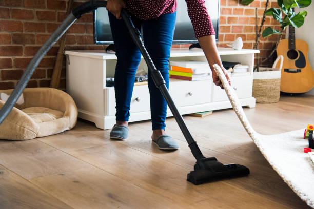 housecleaning1