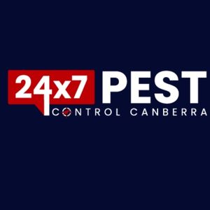 247 spider control canberra 1