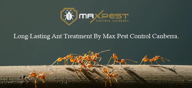 MAX ant control canberra 7
