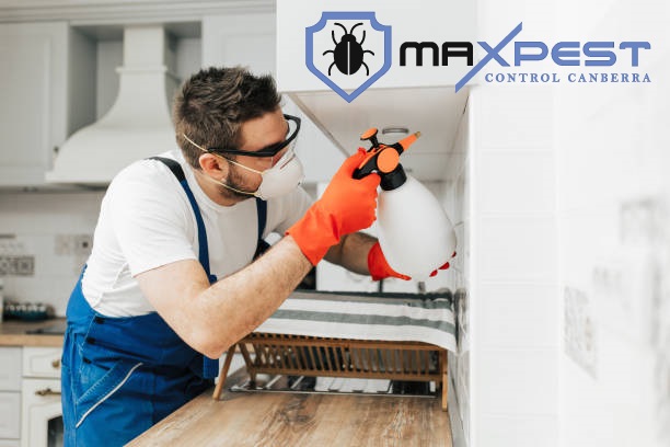 MAX ant control canberra 9