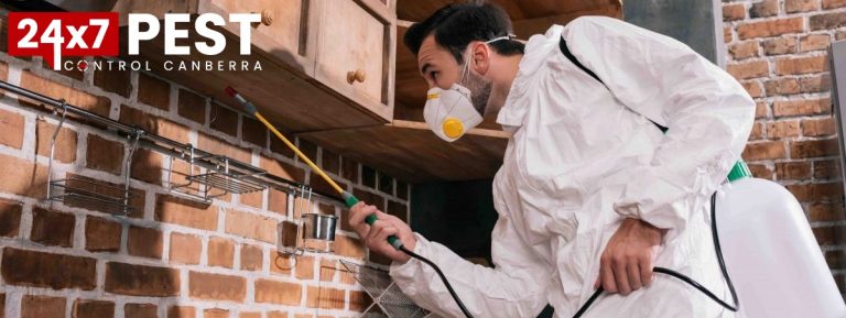 pest control worker spraying pesticides under shel 978Q8QT scaled e1609902260200 1200x451 1 768x289