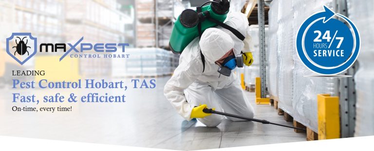 MAX pest control Hobart 10 1 768x312