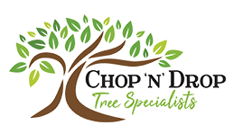 cnd